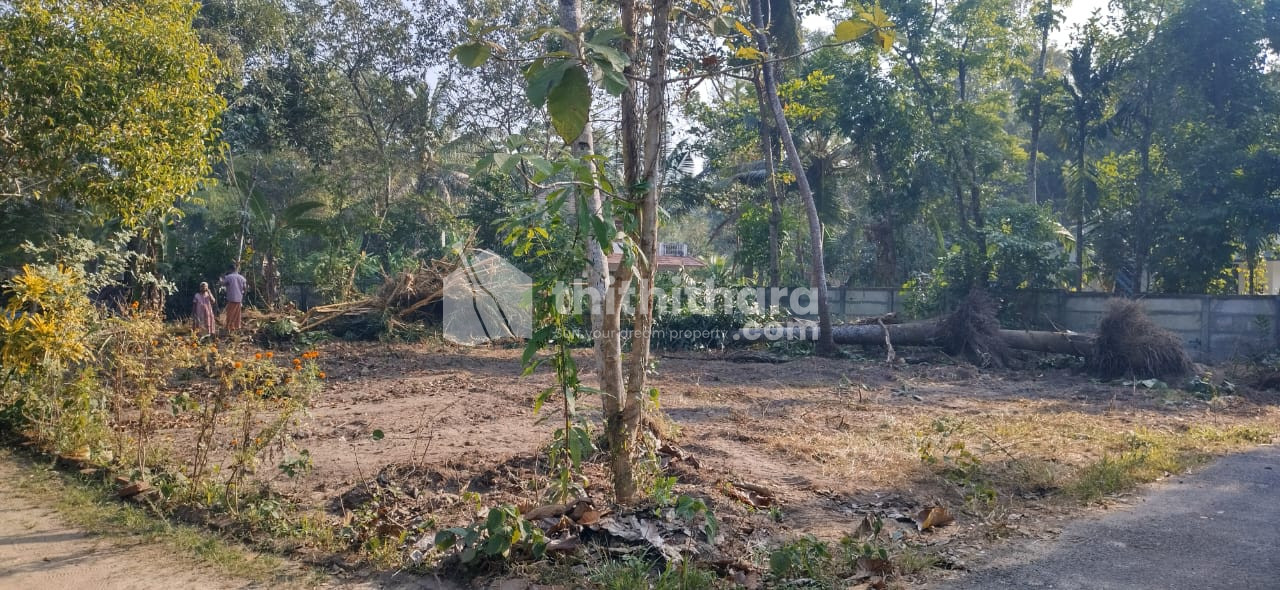 Residential land for sale at Mavelikkara Alappuzha