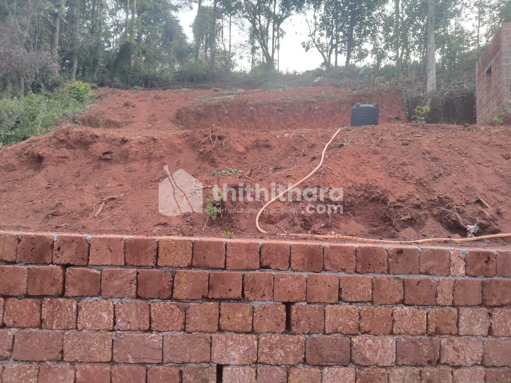 Land for Sale in Parassinikkadavu, Kannur