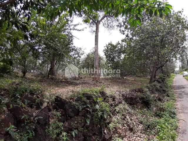 Residential land for sale at Iritty Kannur