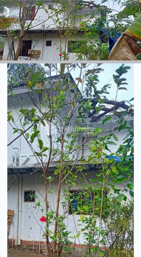 4 BHK Residential house for sale at Ranni Pathanamthitta