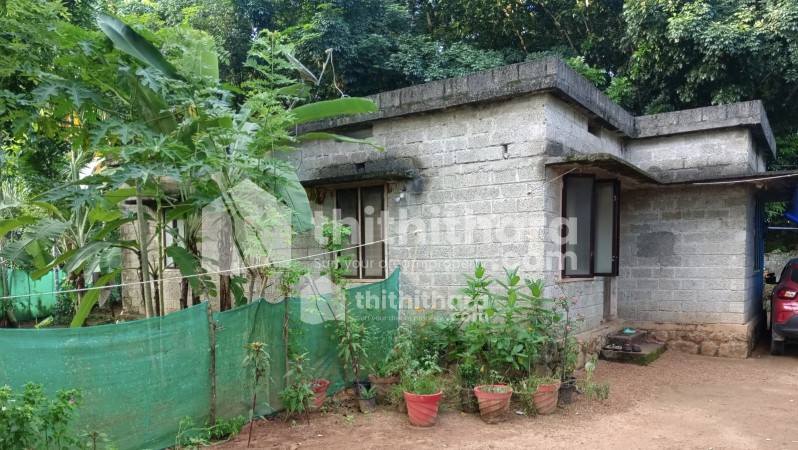 2 BHK residential house for sale at Adoor Pathanamthitta