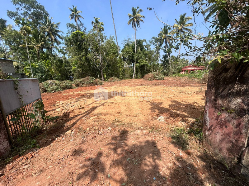 Residential land for sale at Cherthala Alappuzha