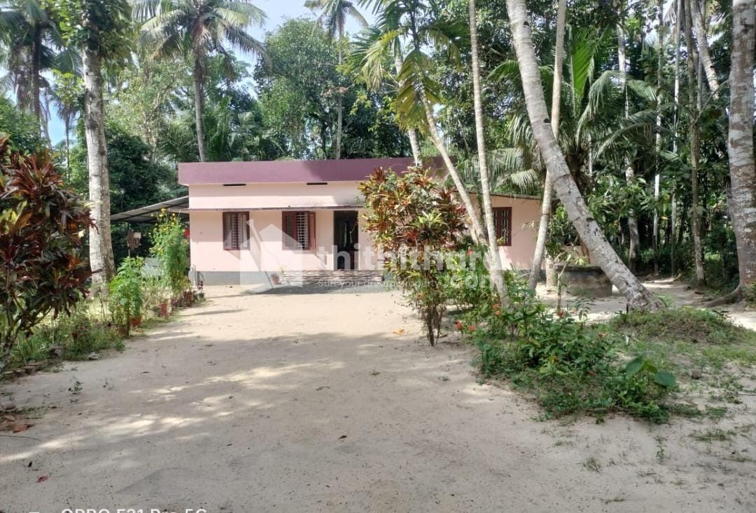 3 BHK House for sale at Kayamkulam Alappuzha