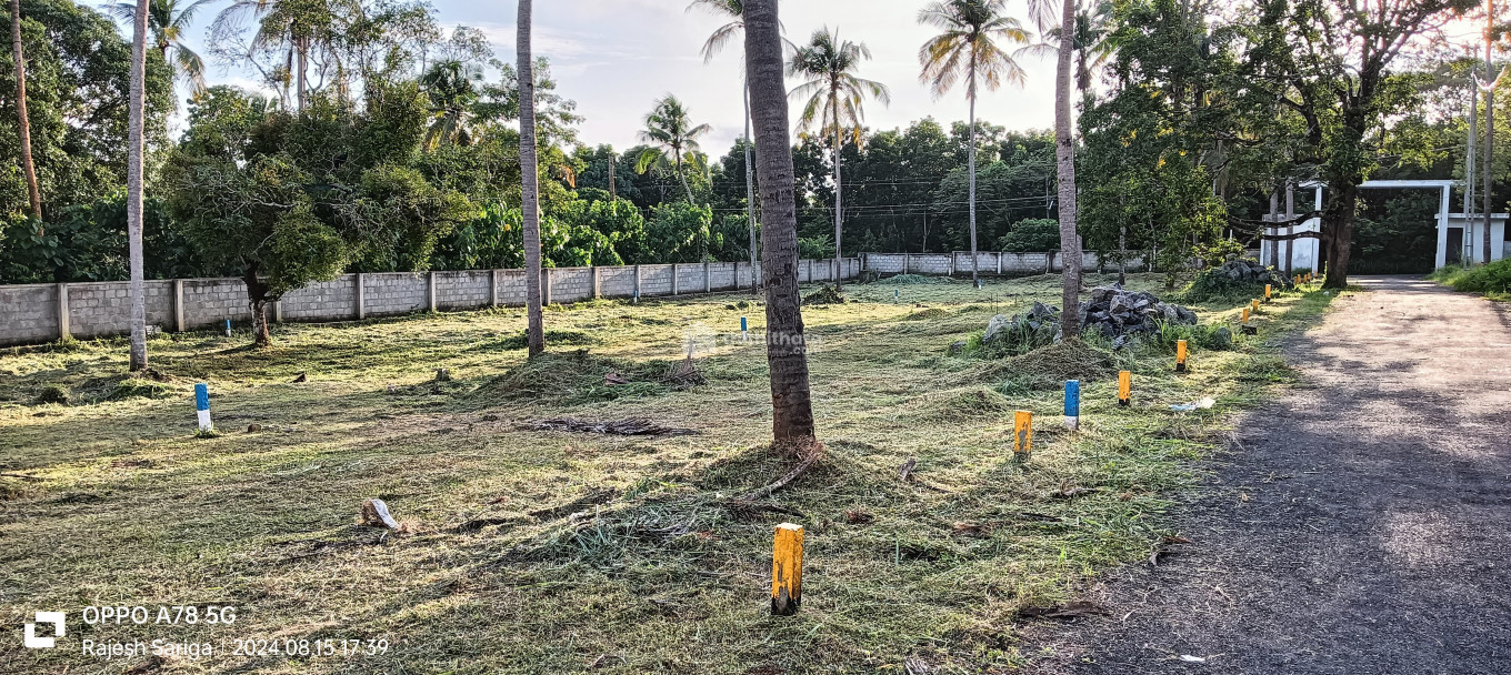 Residential land for sale in Velur Thrissur