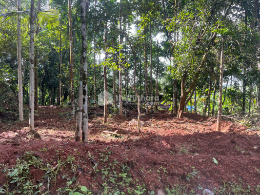 Residential Land available for Sale in Kuthuparamba Kannur