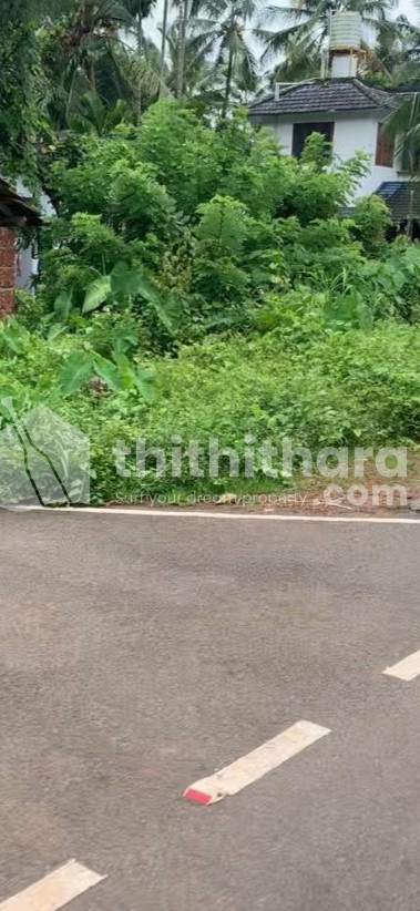 Commercial Land available for Sale in Karivellur Kasaragod