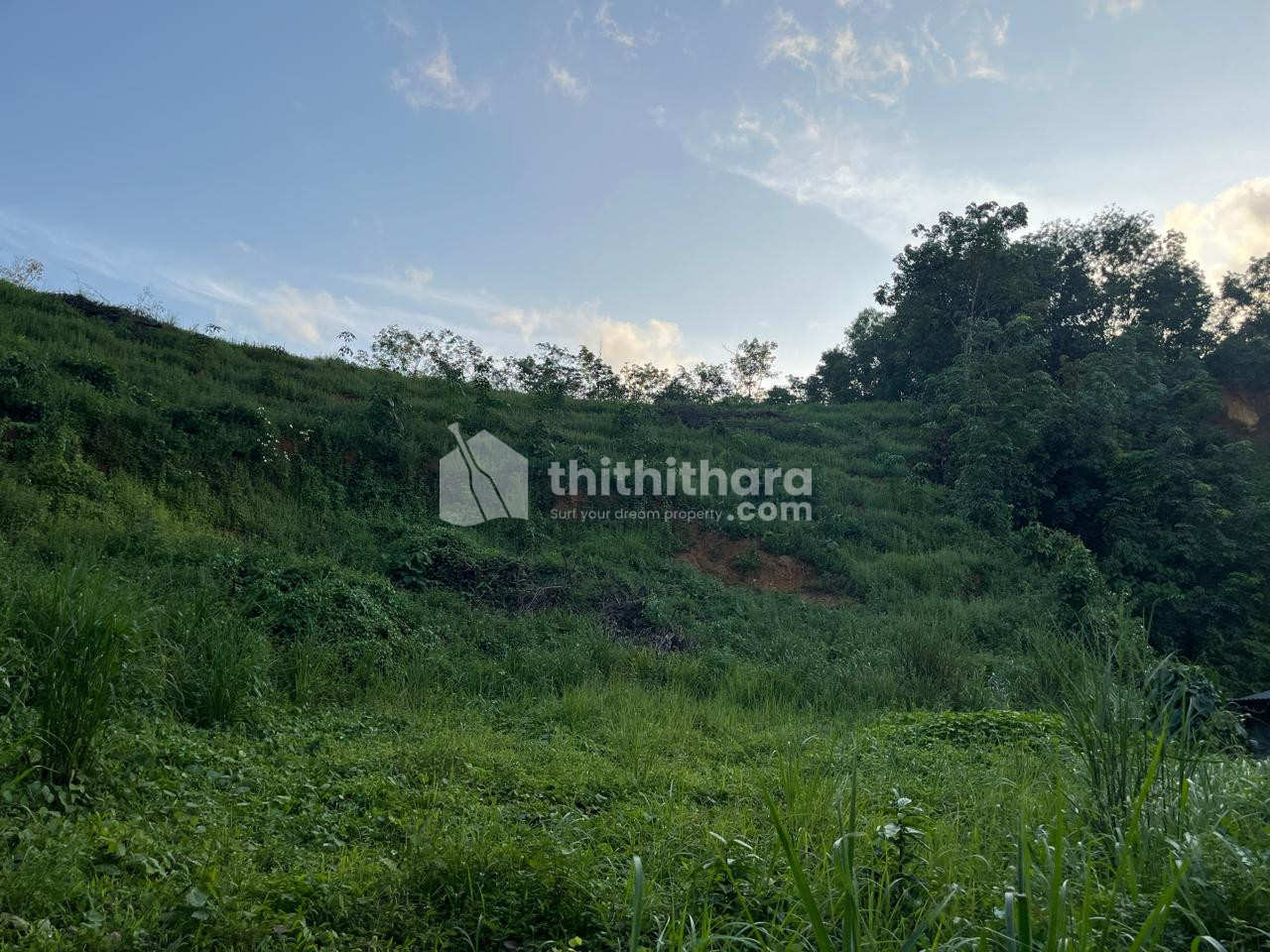Commercial Plots available for Sale in Perumbavor Minikkavala Ernakulam
