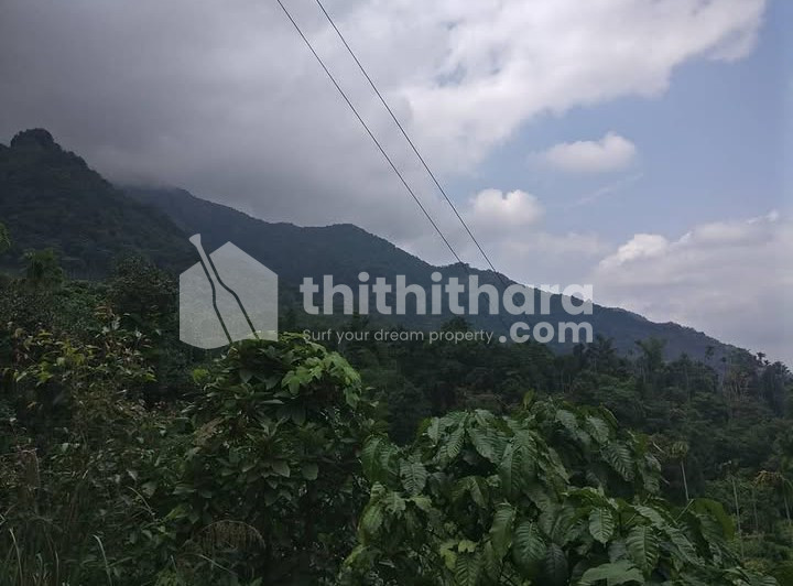 Agricultural land for sale at Koodaranhi Kozhikode