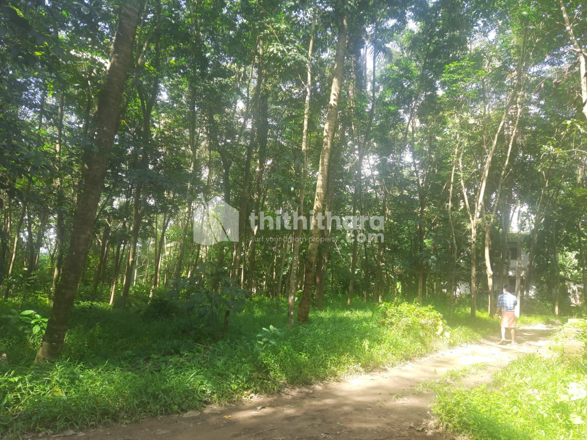 Residential Plots available for Sale in Taliparamba Kannur