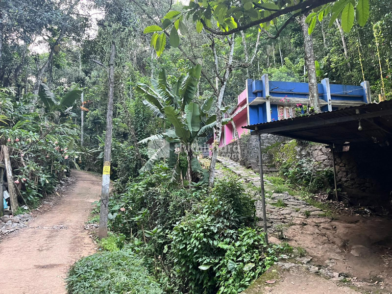 3 BHK Independent House available for sale in Peerumade Idukki