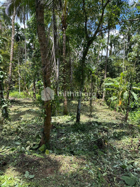 Residential Land available for Sale in Kuthuparamba Kannur