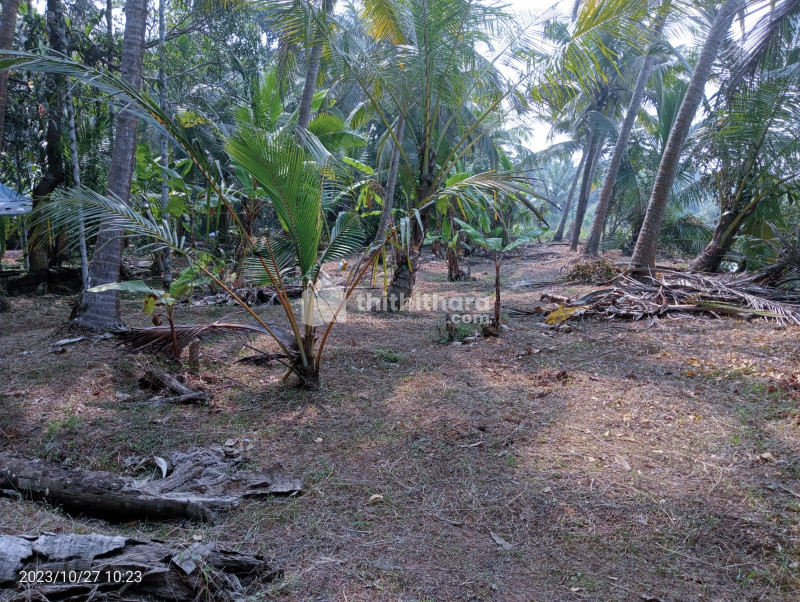 Residential land for sale at Thalassery Kannur