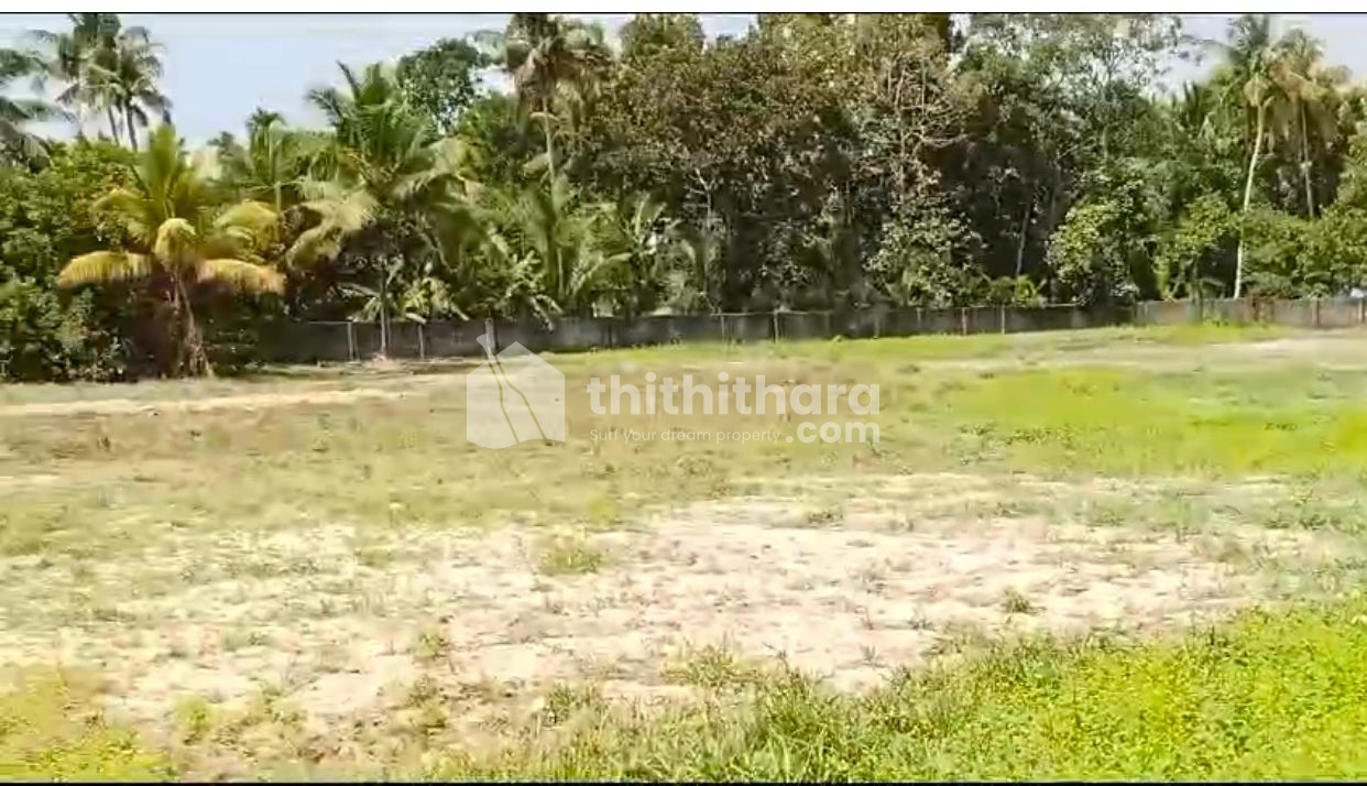 Commercial Plots available for Sale in Vazikulangara Ernakulam