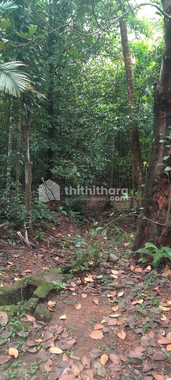 Residential land for sale at Chirakkal Thrissur