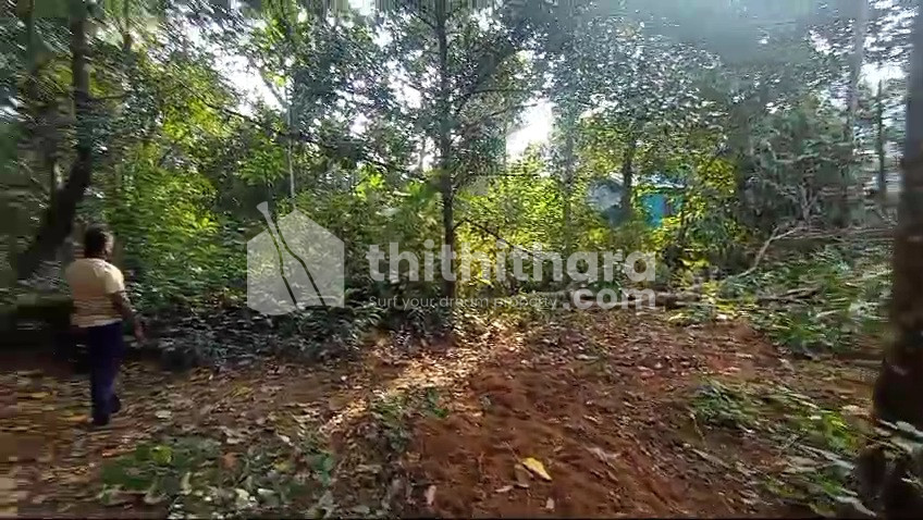 Residential plot for sale at Ollur Thrissur