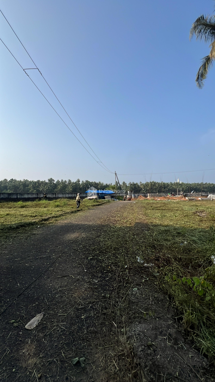  Residential plots for sale in mundoor Thrissur       