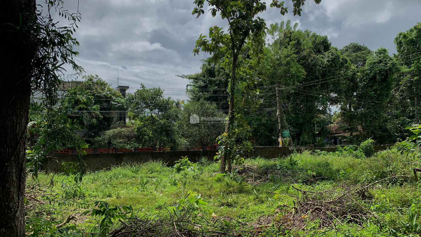Residential Land available for Sale in Paravur Ernakulam
