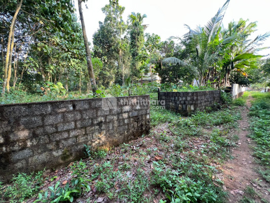 Residential Land available for Sale in Perumbavoor Ernakulam