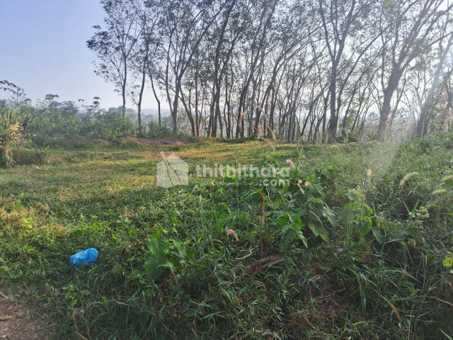 Commercial Plots available for Sale in Challimuku Kollam