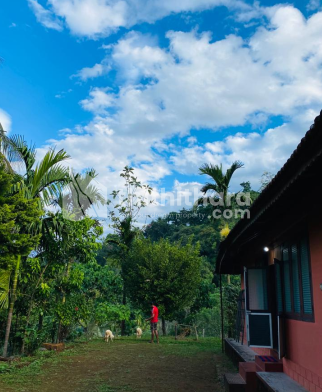 Residential land available for Sale in Karuvanchal Kannur