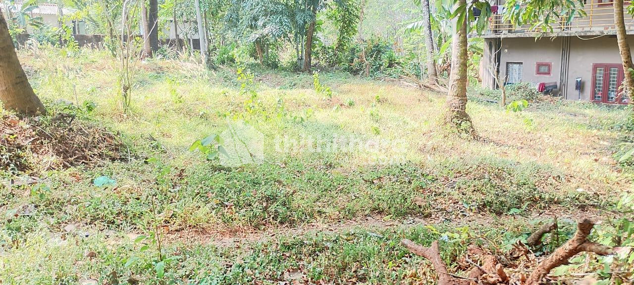 Residential Land available for Sale in Mannarkad Palakkad