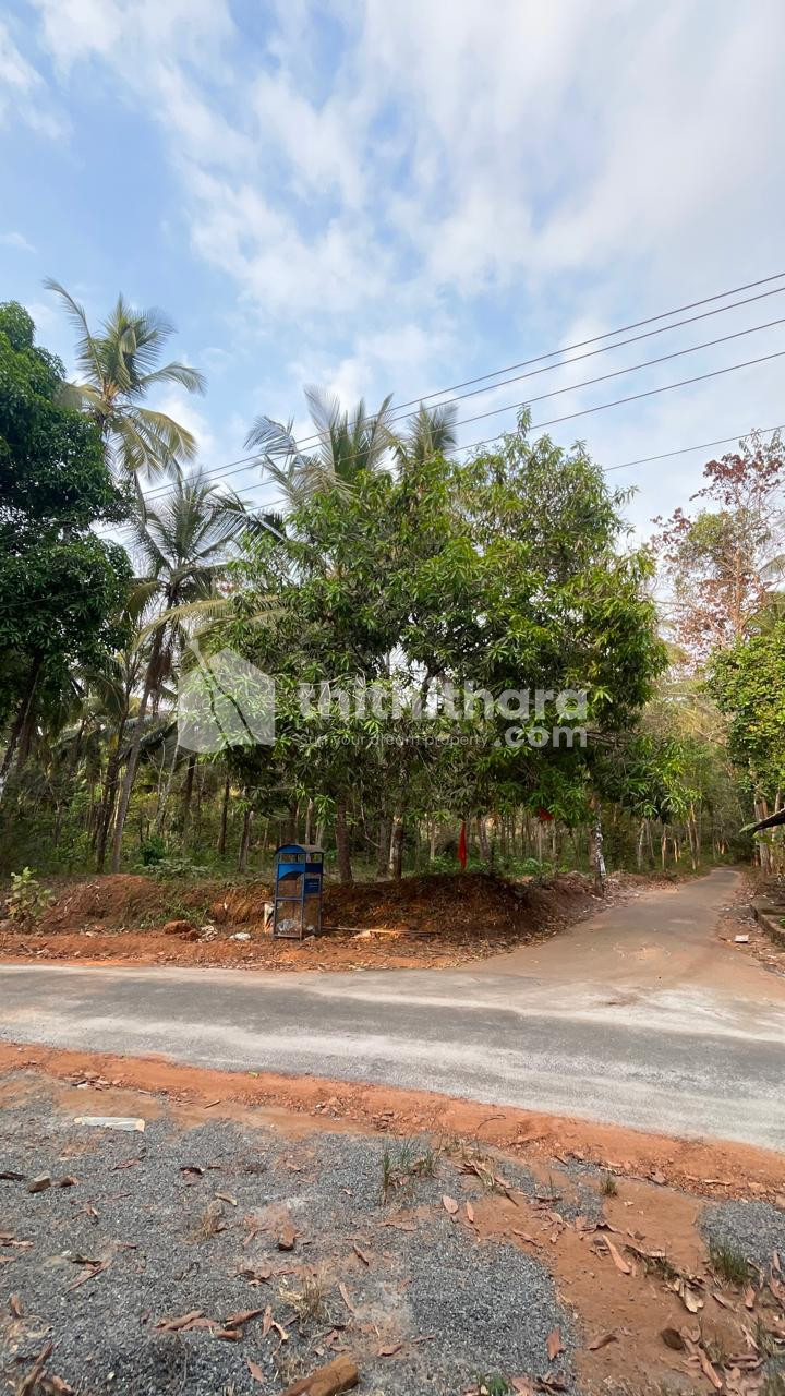 Residential Land available for Sale in  Perambra Kozhikode
