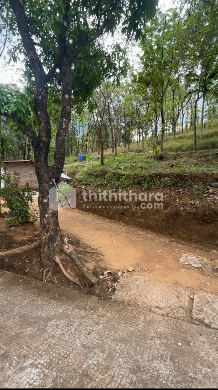 Residential Land available for Sale in Peravoor Kannur