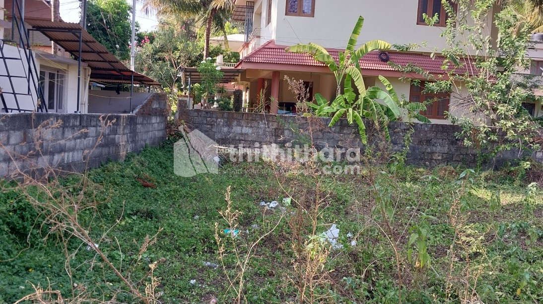 Residential land for sale at Olavakkodu Palakkad