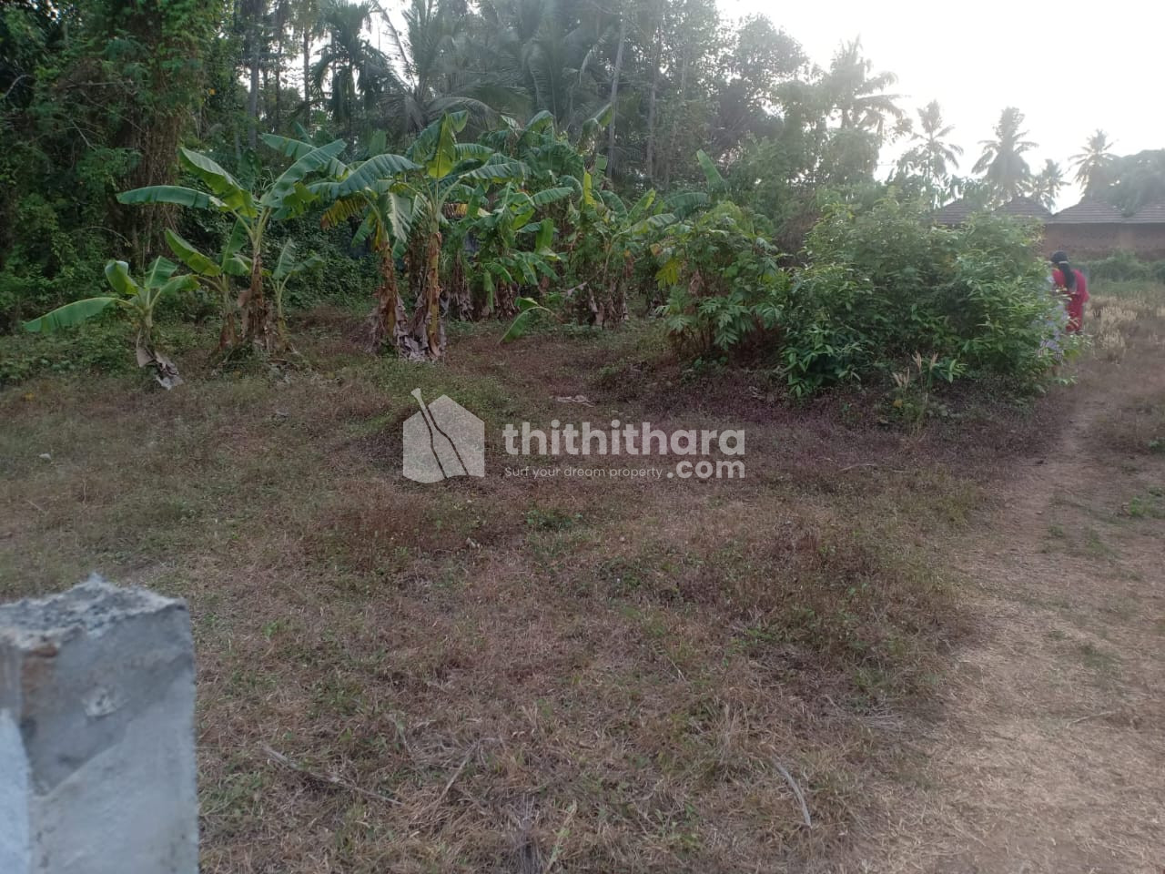 Residential Land for sale at Perinchery Thrissur  