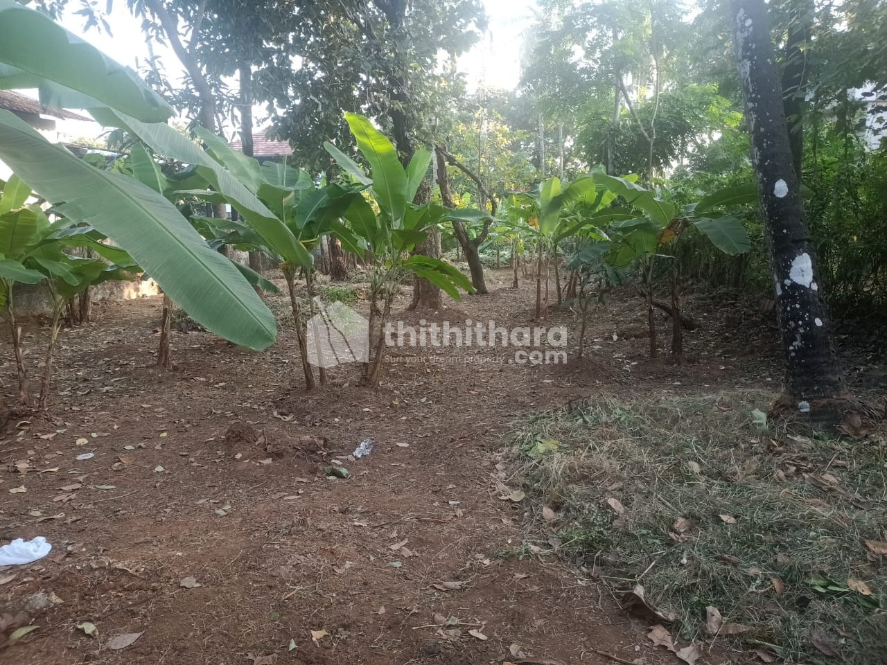 Residential Land for sale in KolazhyThrissur