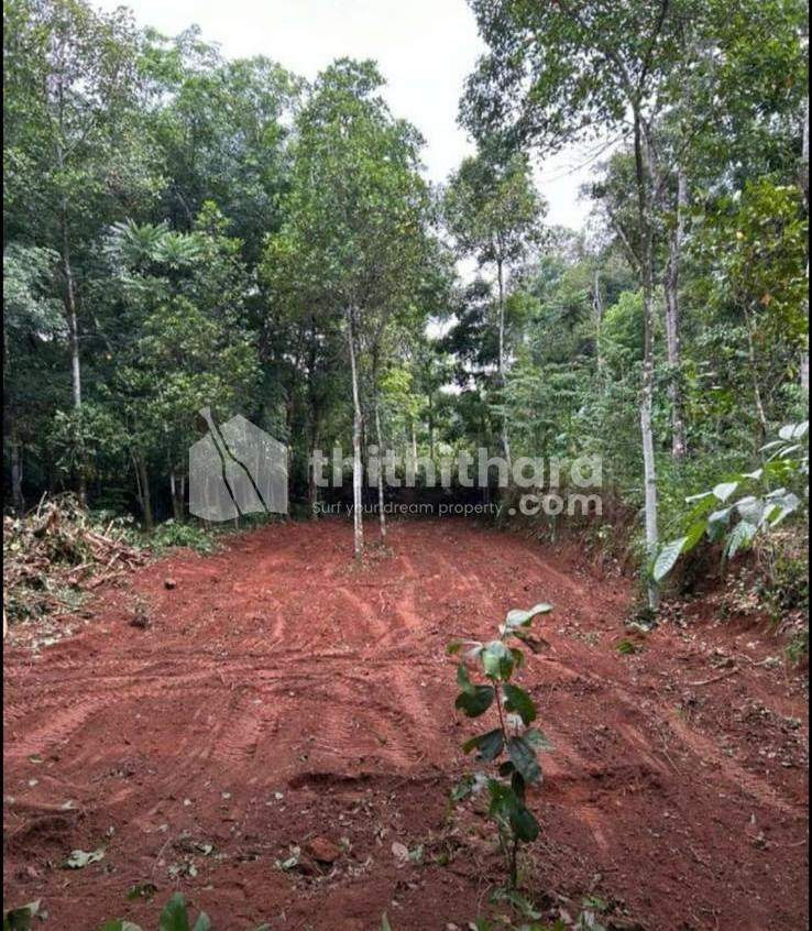 Residential Land available for Sale in Kayamkulam Alappuzha