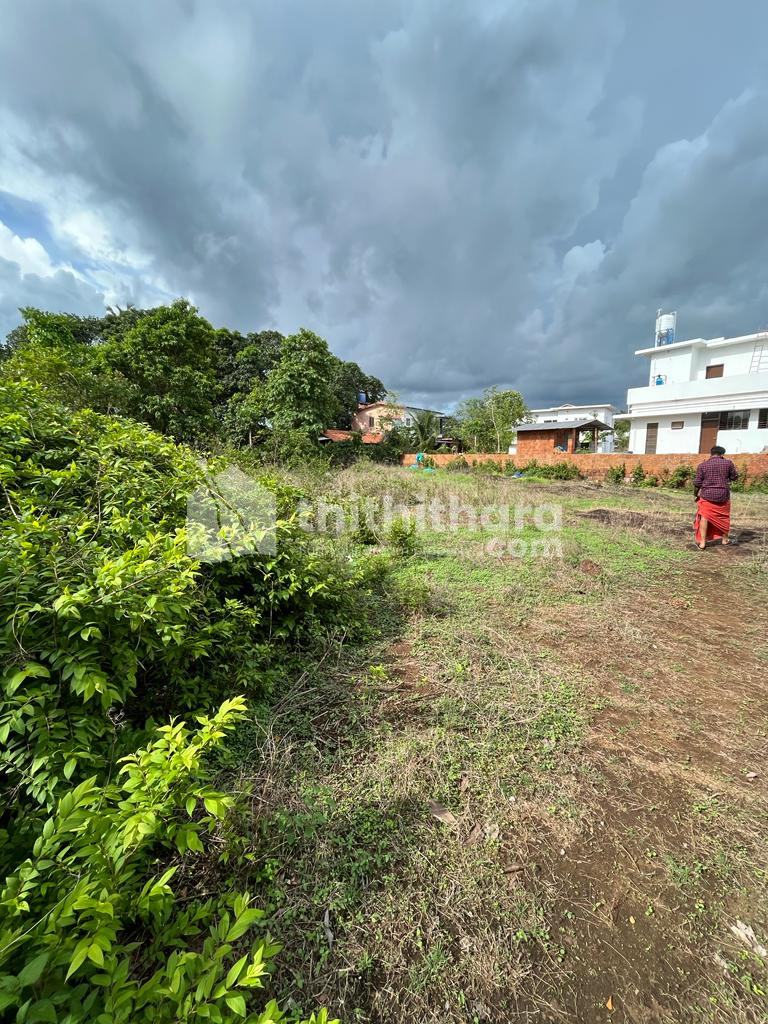 Residential Land available for Sale in Mattanur Kannur