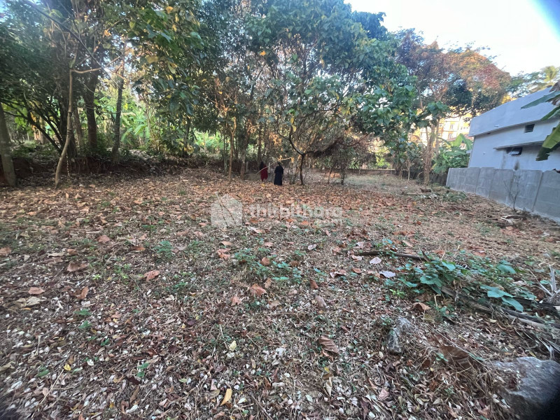 Residential Land available for Sale in Amala Nagar Thrissur