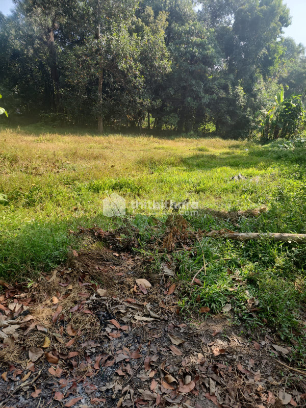 Residential land for sale at Ernakaulam Angamaly