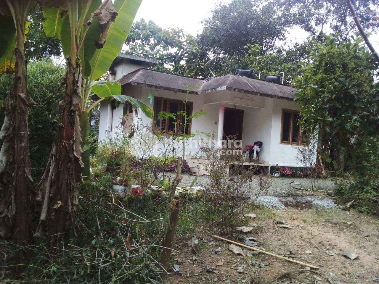 3 BHK Independent House for sale at Thodupuzha Idukki