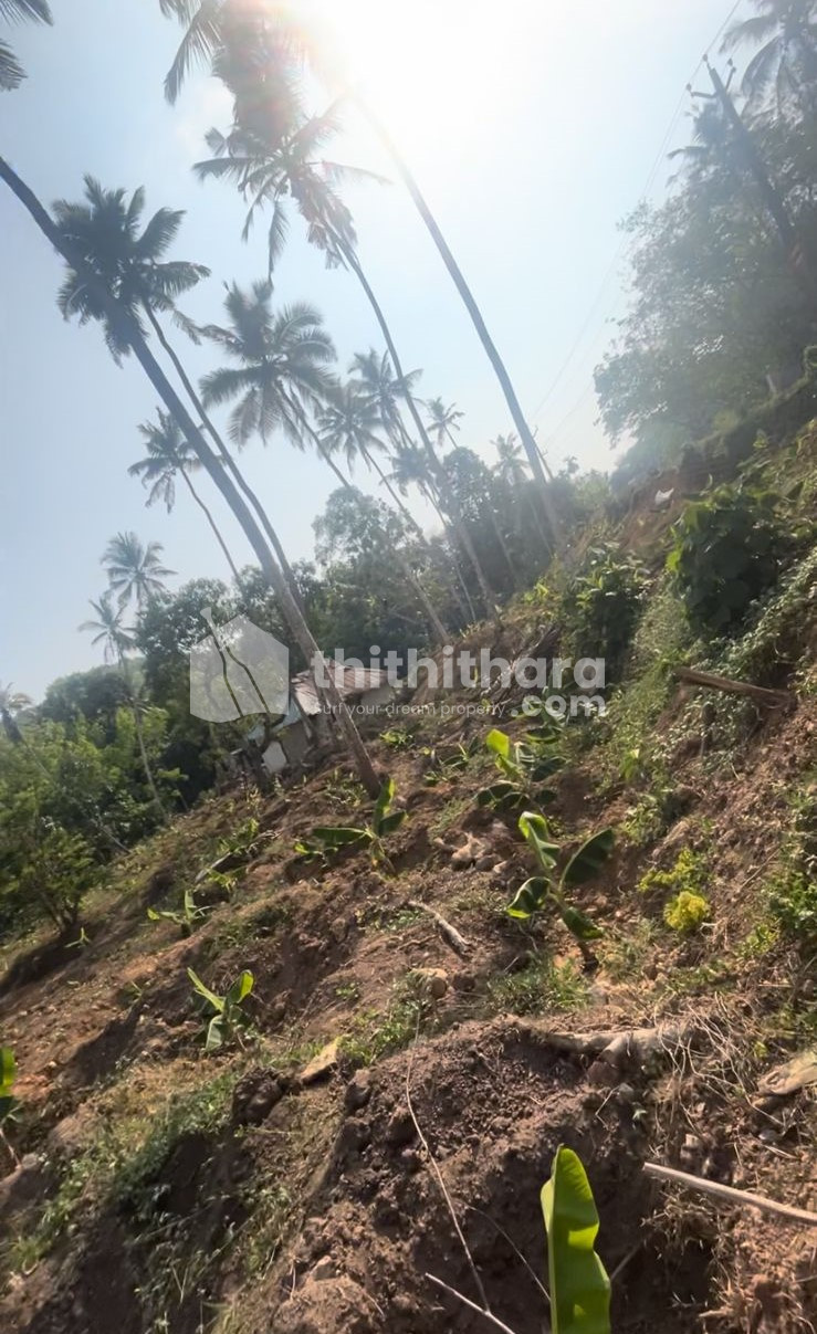 Residential Land available for Sale in Nedumangad Thiruvananthapuram