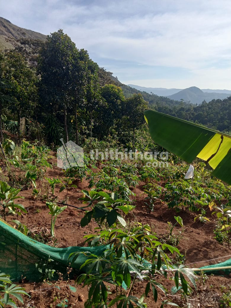 Commercial Plot for sale at Peerumed Idukki