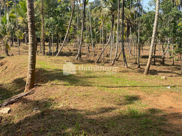 Residential Land available for Sale in Kozhikode Kozhikode