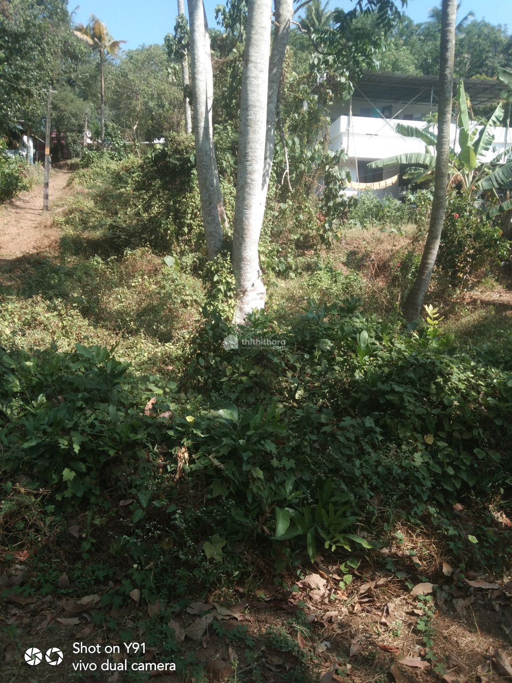 Residential Land For Lease In Peechi Thrissur