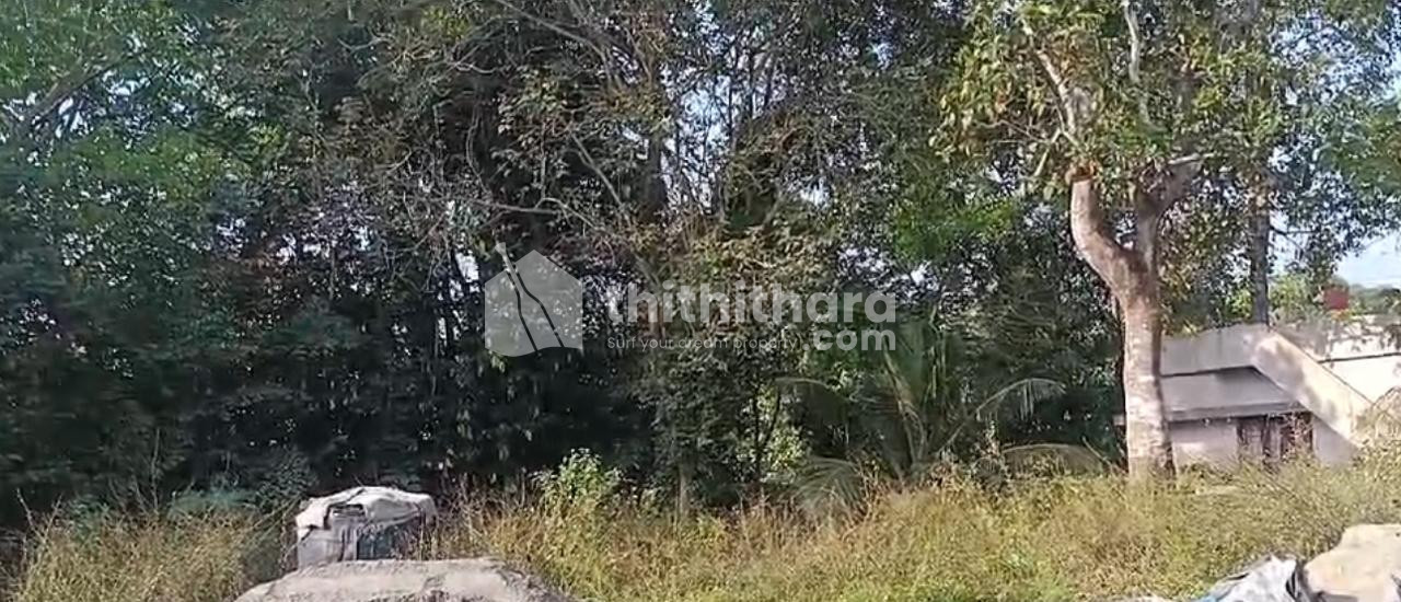 RESIDENTIAL PLOT FOR SALE IN KOCHI ERNAKULAM 