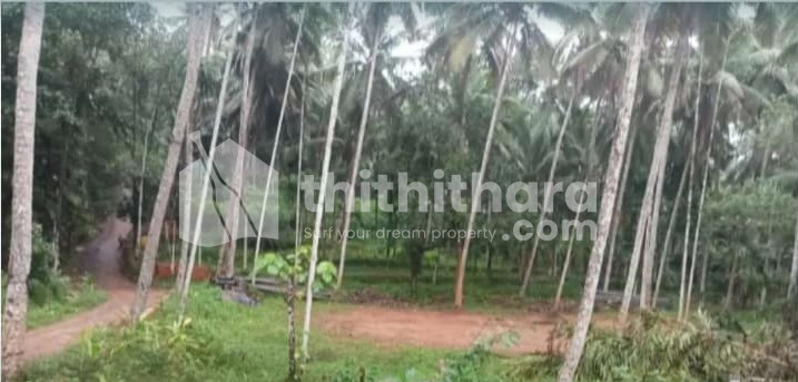 Residential land for sale in Perambra Kozhikode