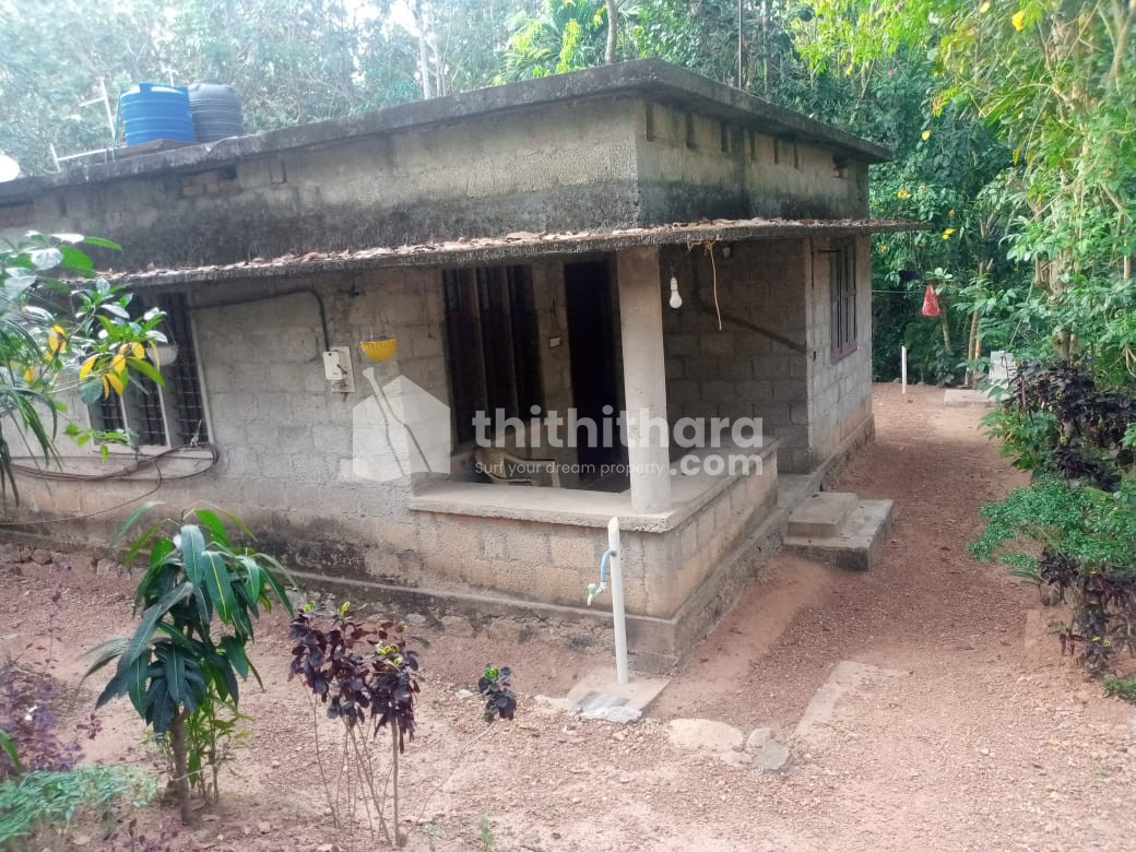 2 BHK Independent House For lease In Adoor Pathanamthitta