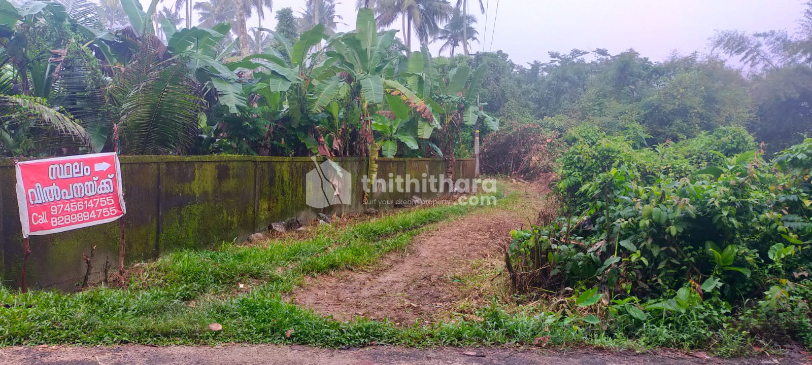 70 Cent agricultural Land for sale at Mambra, Chalakkudy