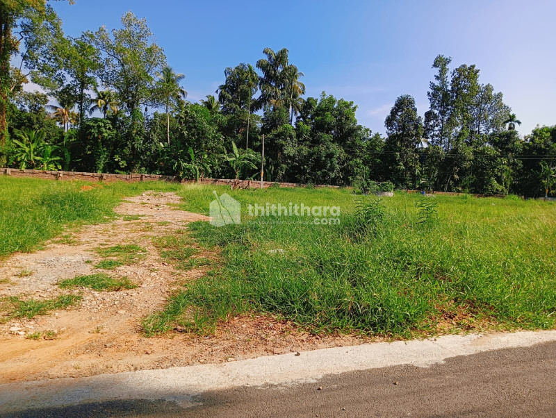 Commercial Plots available for Sale in Perumbavoor Ernakulam