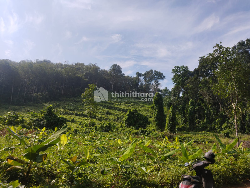 Residential land for sale at Pala Kottayam 