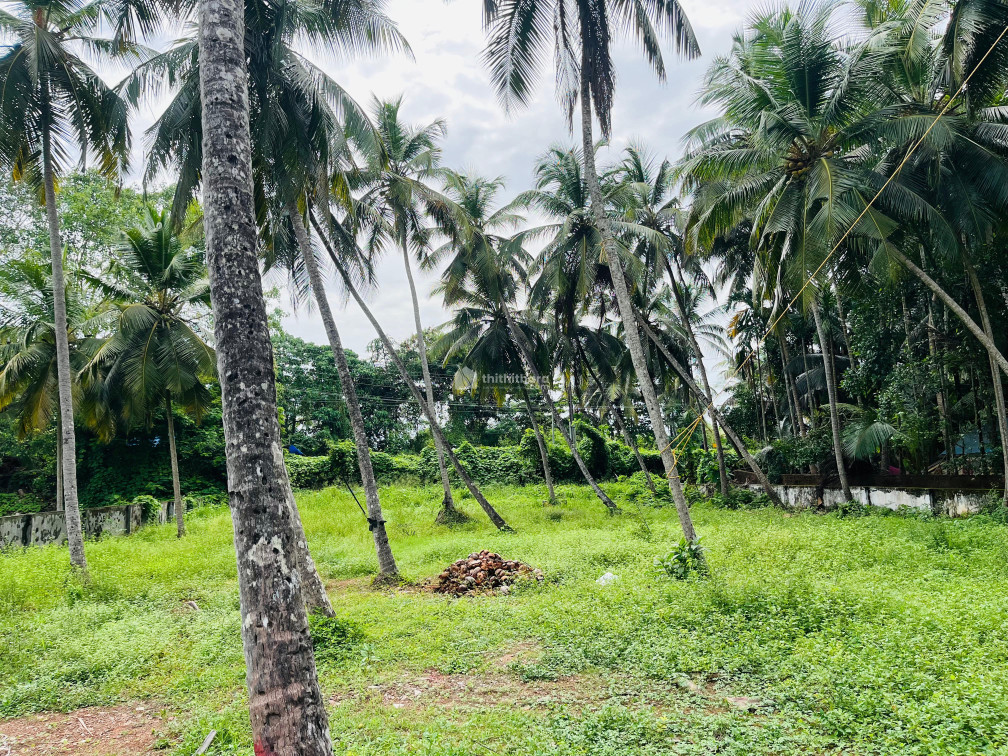 Commercial plots for lease at Elathur Kozhikode 