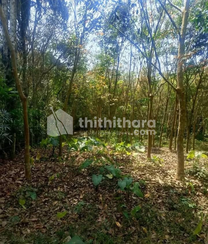 Commercial Plots for sale at Kattakada Thiruvananthapuram