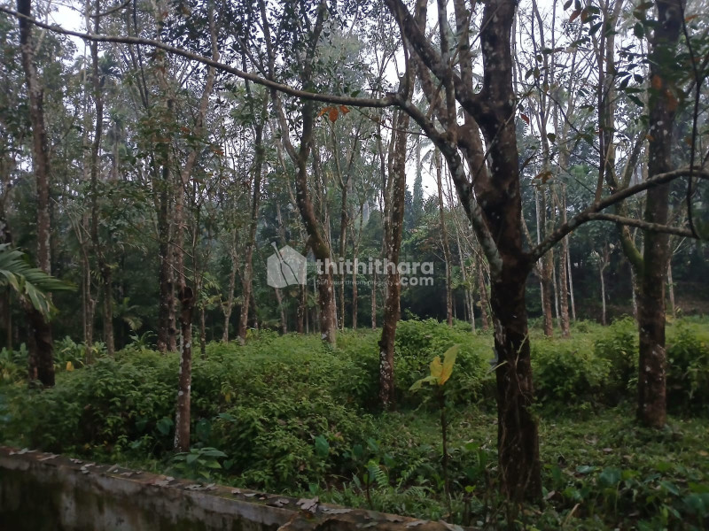 Commercial  Plots For Sale In Muvattupuzha Ernakulam