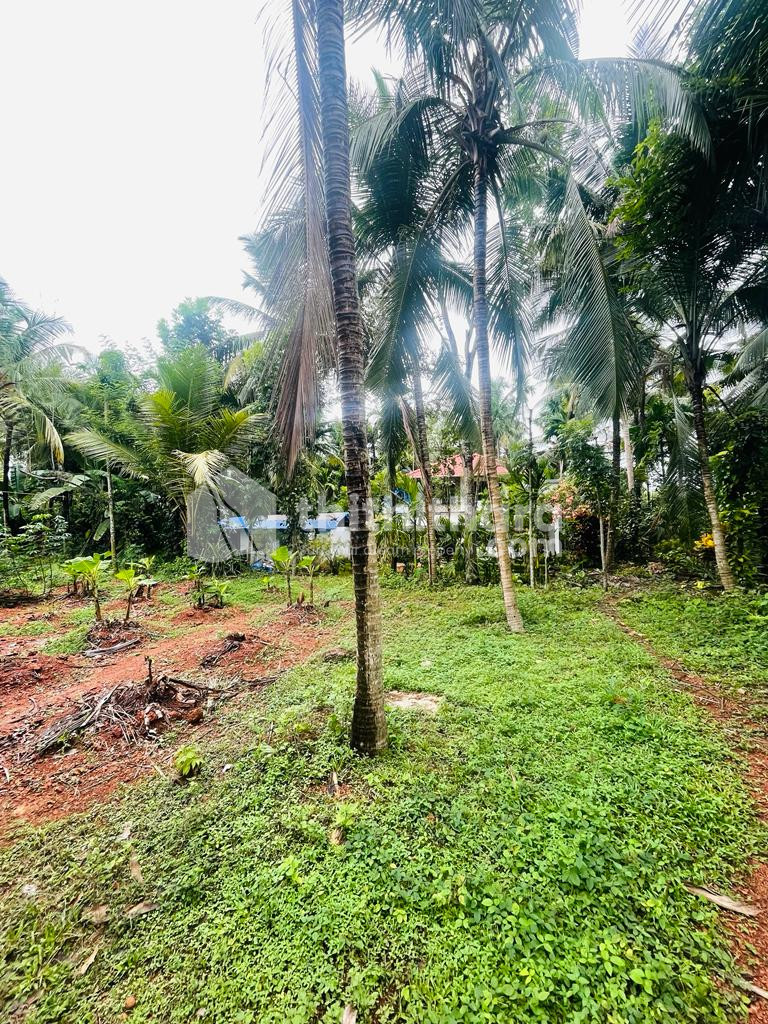20 cent land for sale at University ,Malappuram