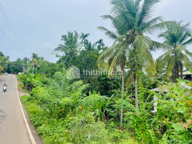 33 cent land for sale at University ,Malappuram